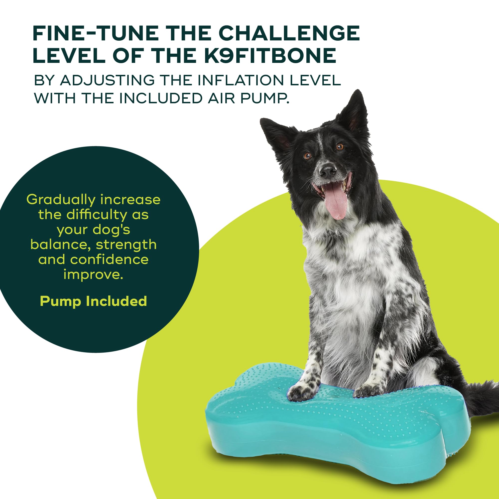 Amazon.com: FitPAWS® K9FITbone® - Regular, Aqua | Dog